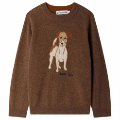Pull Berlioz Cachemire | Marron