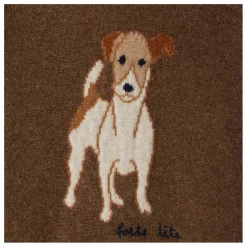 Pull Berlioz Cachemire | Marron
