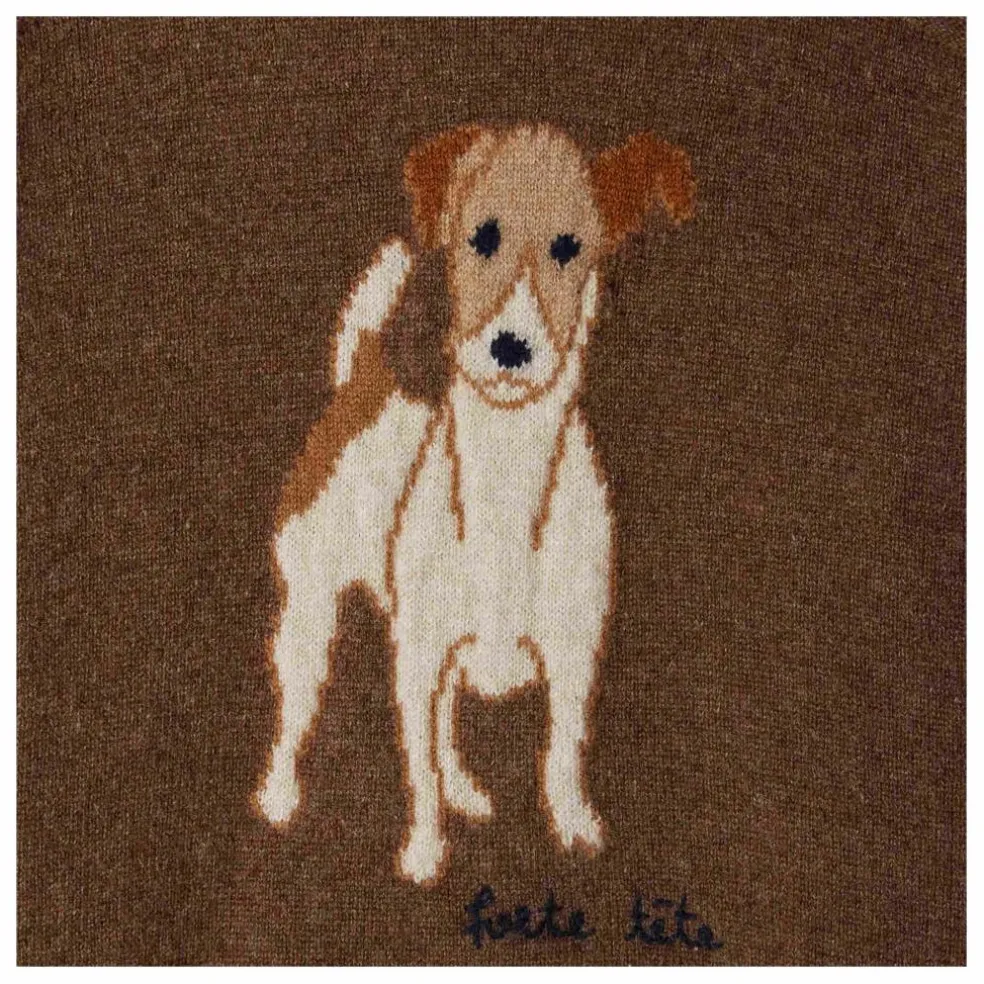 Pull Berlioz Cachemire | Marron