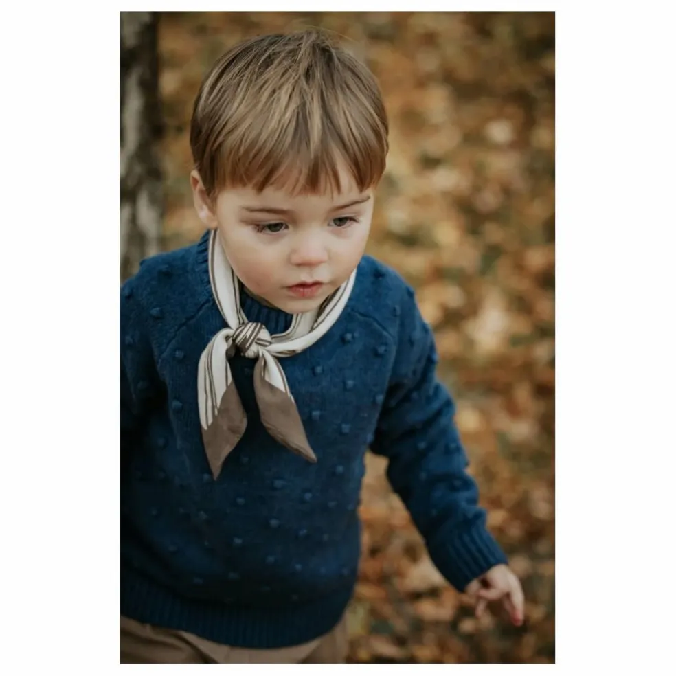 Pull Bon Dot | Bleu