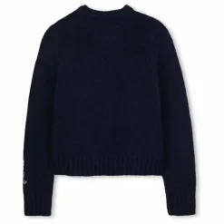 Pull Boutonné Laine | Bleu marine