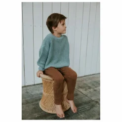Pull Chunky Coton Bio | Bleu