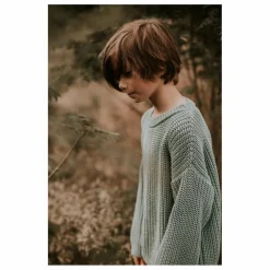 Pull Chunky Coton Bio | Bleu