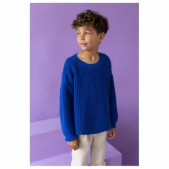 Pull Chunky Coton Bio | Bleu