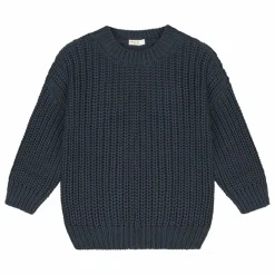 Pull Chunky Coton Bio | Gris anthracite