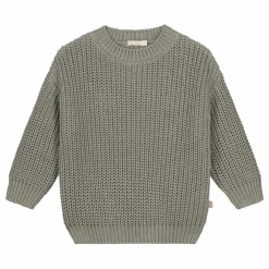Pull Chunky Coton Bio | Sauge