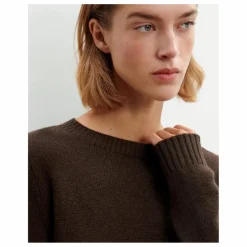 Pull Col Rond 4 Fils Cachemire | Chocolat