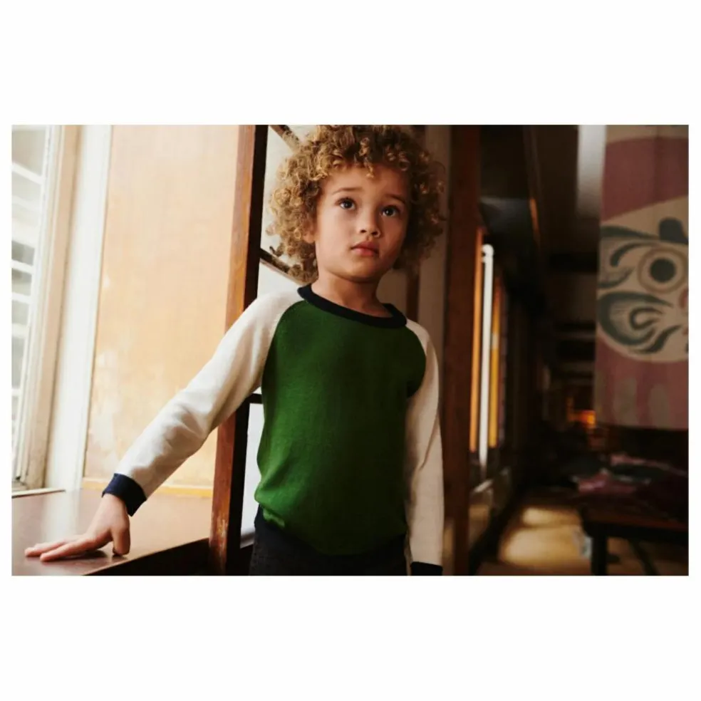 Pull Colorblock Maille Fine Laine de Mérinos | Vert