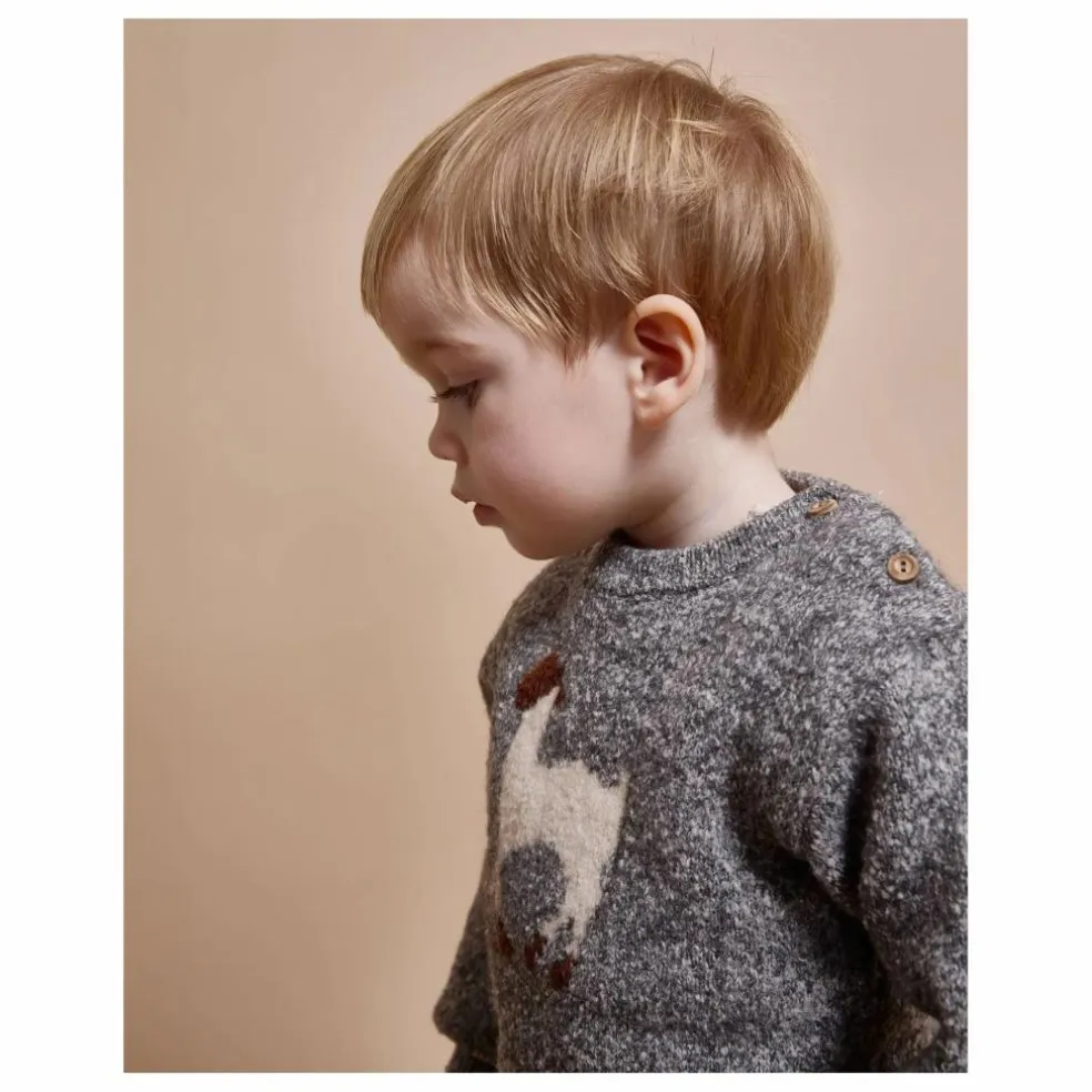 Pull Lama Fibres Recyclées | Gris