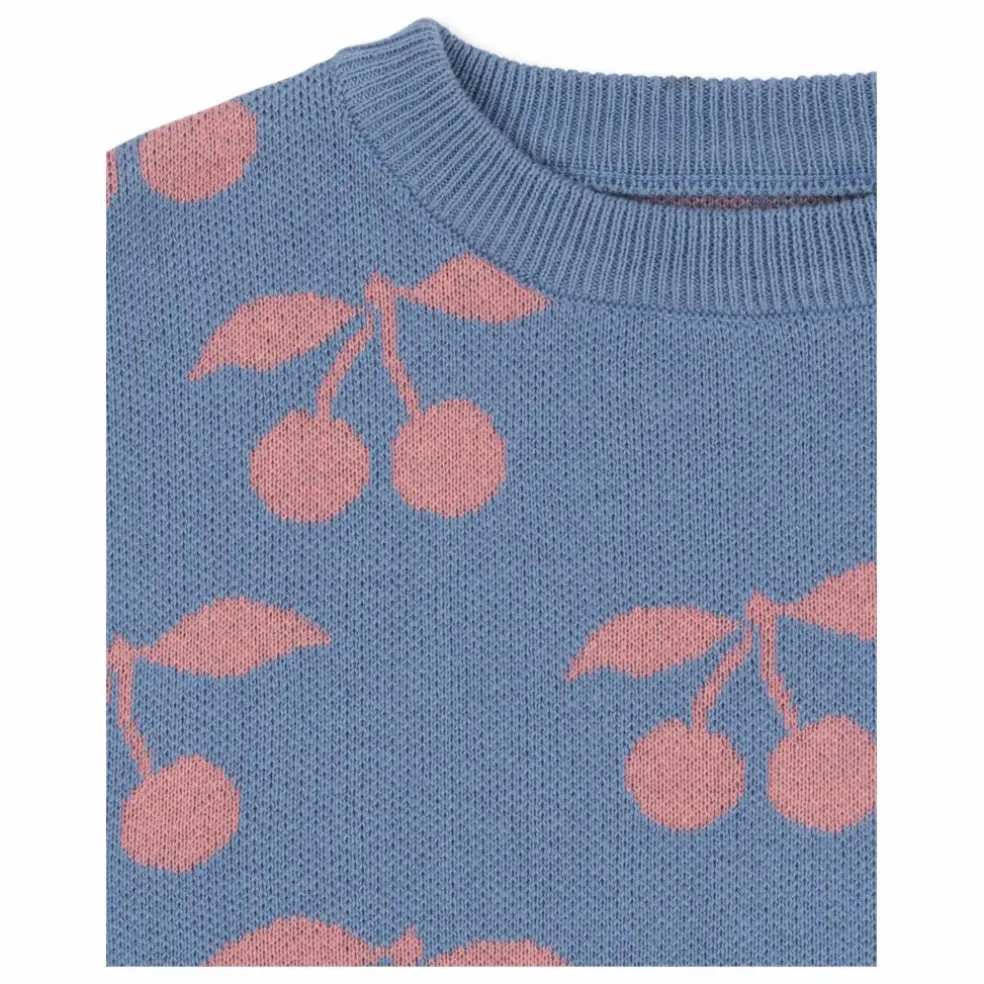 Pull Lapis Cerises Coton Bio | Violet