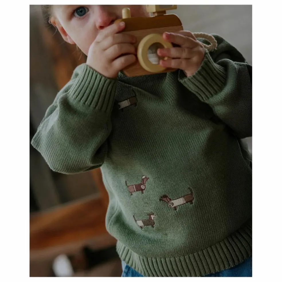Pull Mahdi Chiens Coton Bio | Vert d'eau