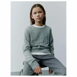 Pull Minniksy Laine | Gris