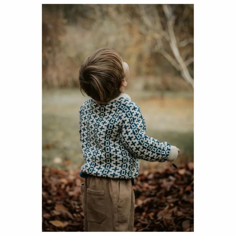 Pull Nova Nordic Coton Bio | Bleu