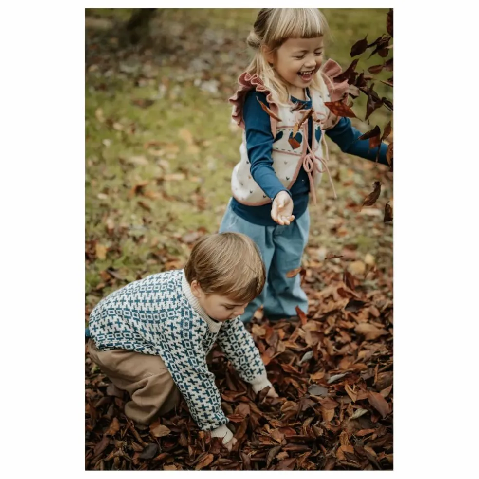 Pull Nova Nordic Coton Bio | Bleu