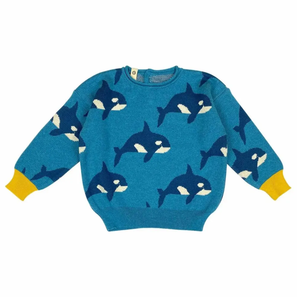 Pull Orca Family Coton Bio | Bleu