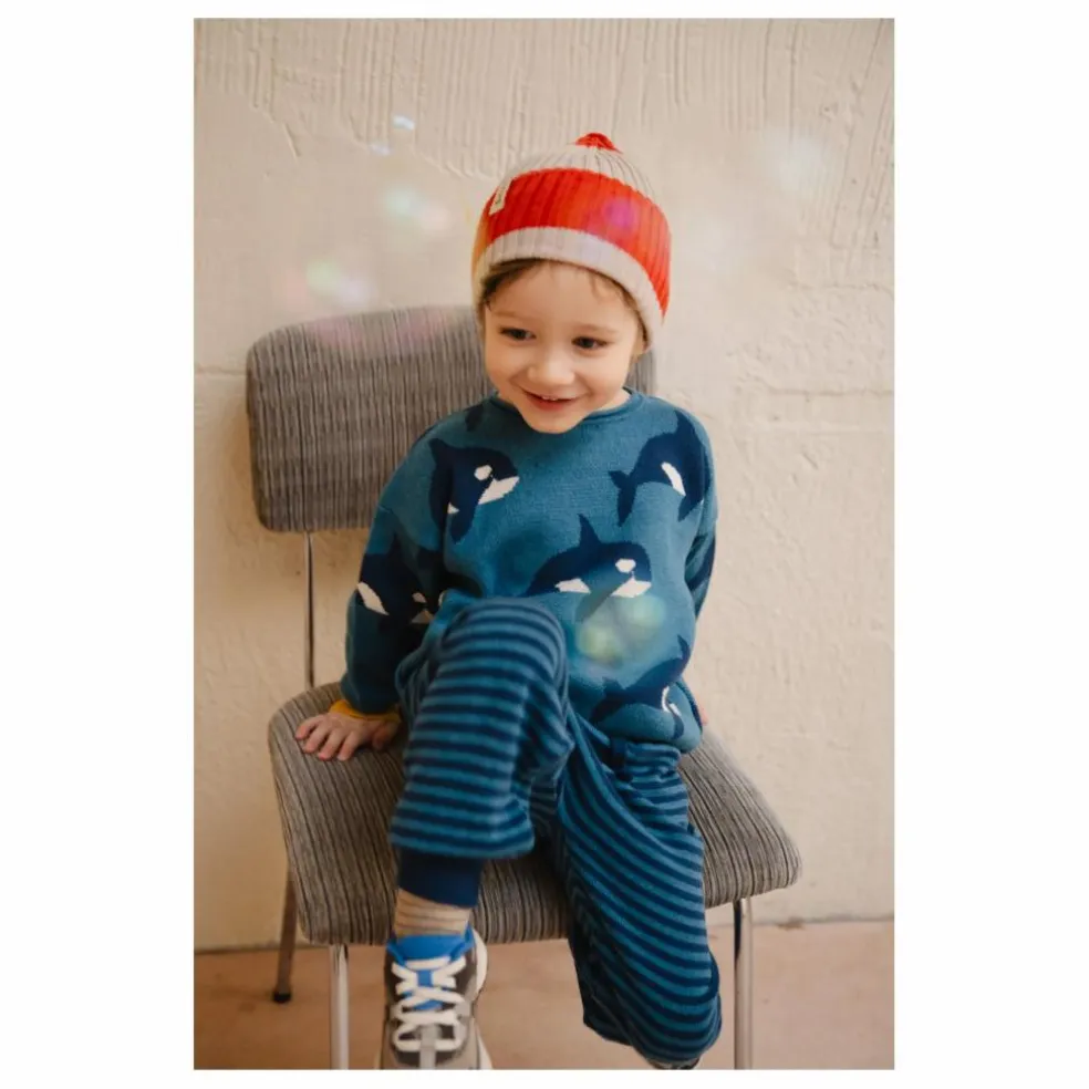 Pull Orca Family Coton Bio | Bleu