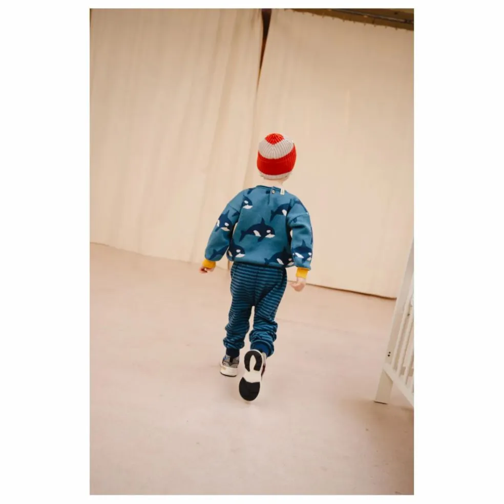 Pull Orca Family Coton Bio | Bleu