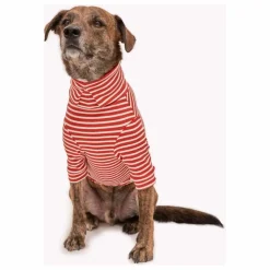 Pull rayé | Rouge