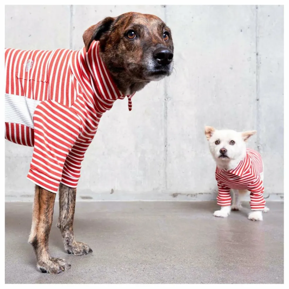 Pull rayé | Rouge