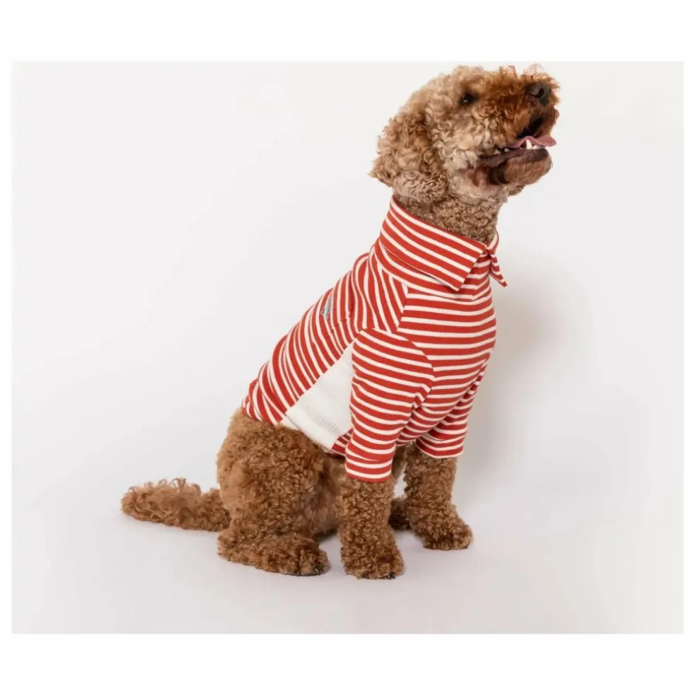 Pull rayé | Rouge