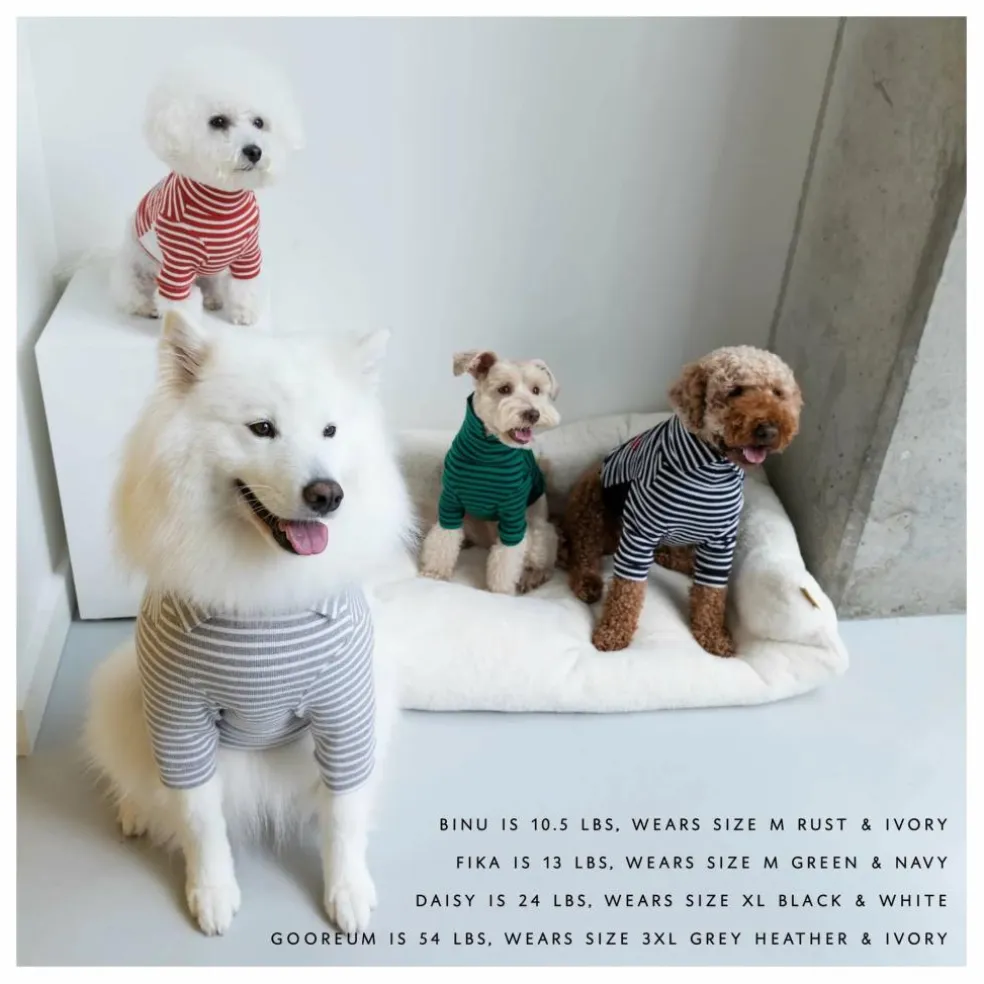 Pull rayé | Vert