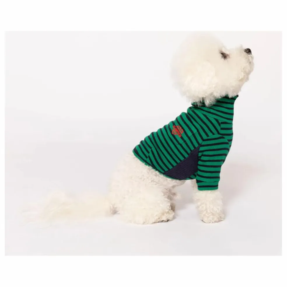 Pull rayé | Vert