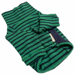 Pull rayé | Vert
