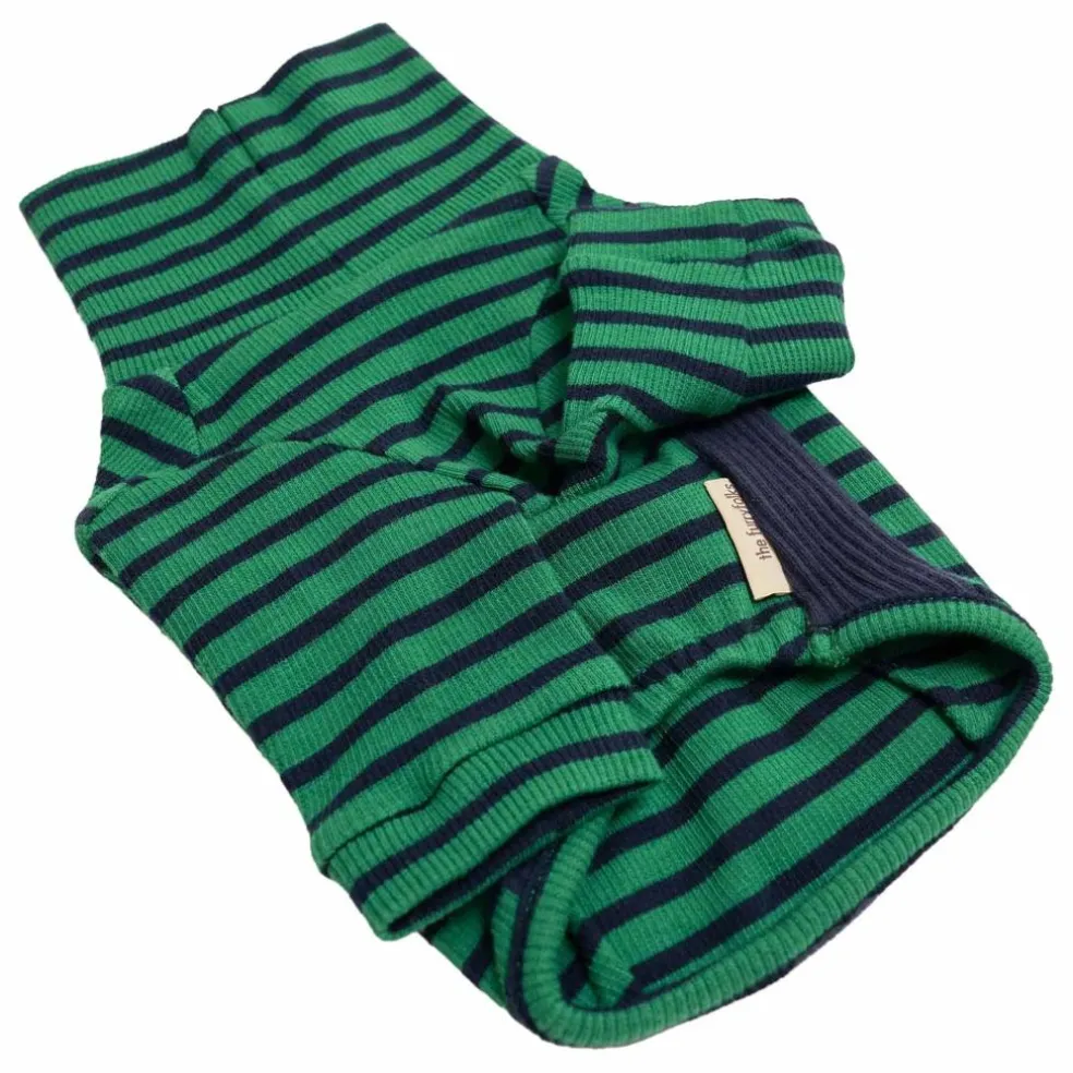 Pull rayé | Vert