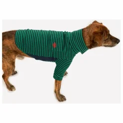 Pull rayé | Vert