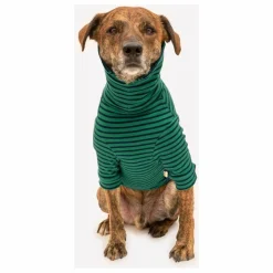 Pull rayé | Vert