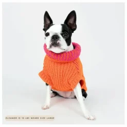 Pull Rib | Orange