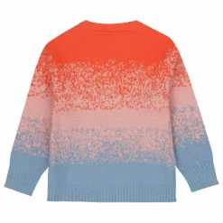 Pull Savoir | Orange