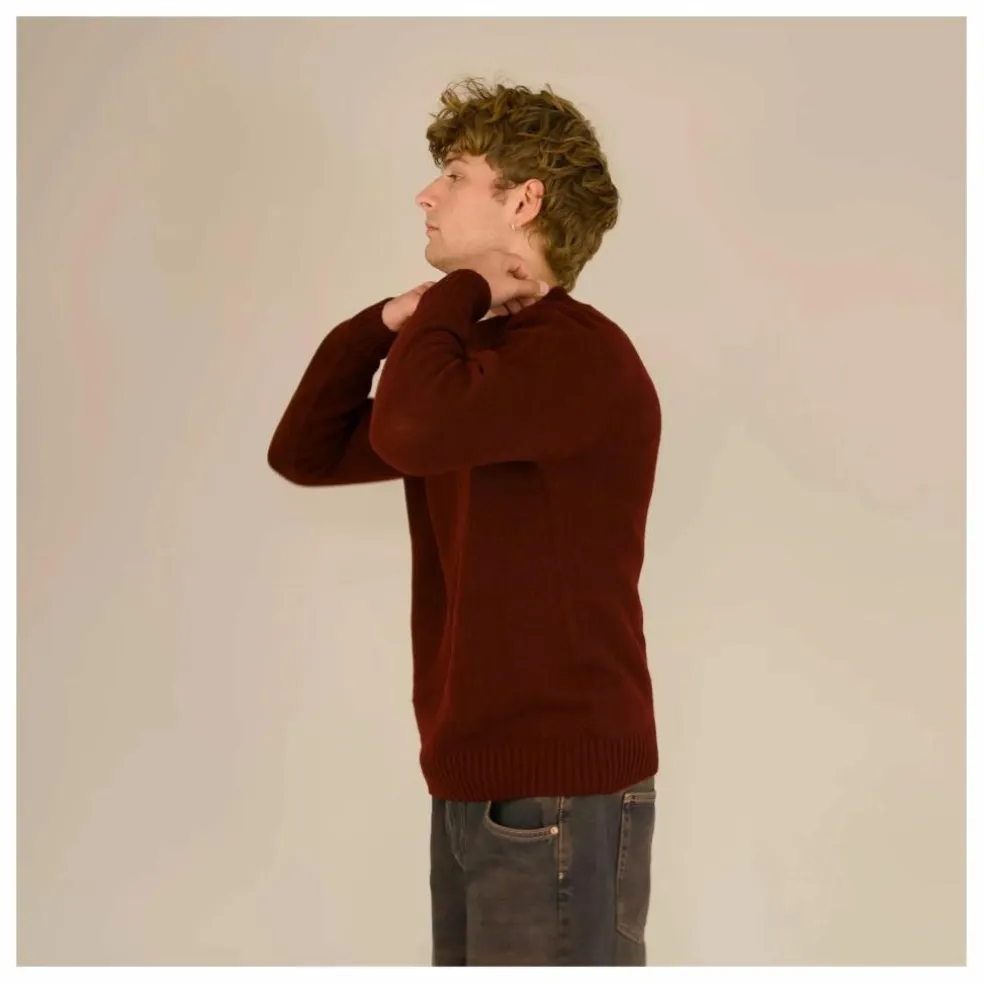 Pull Seamless Laine | Bordeaux