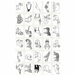 Recharge pour Kidydraw Mini - Pirates, princesses et animaux sauvages