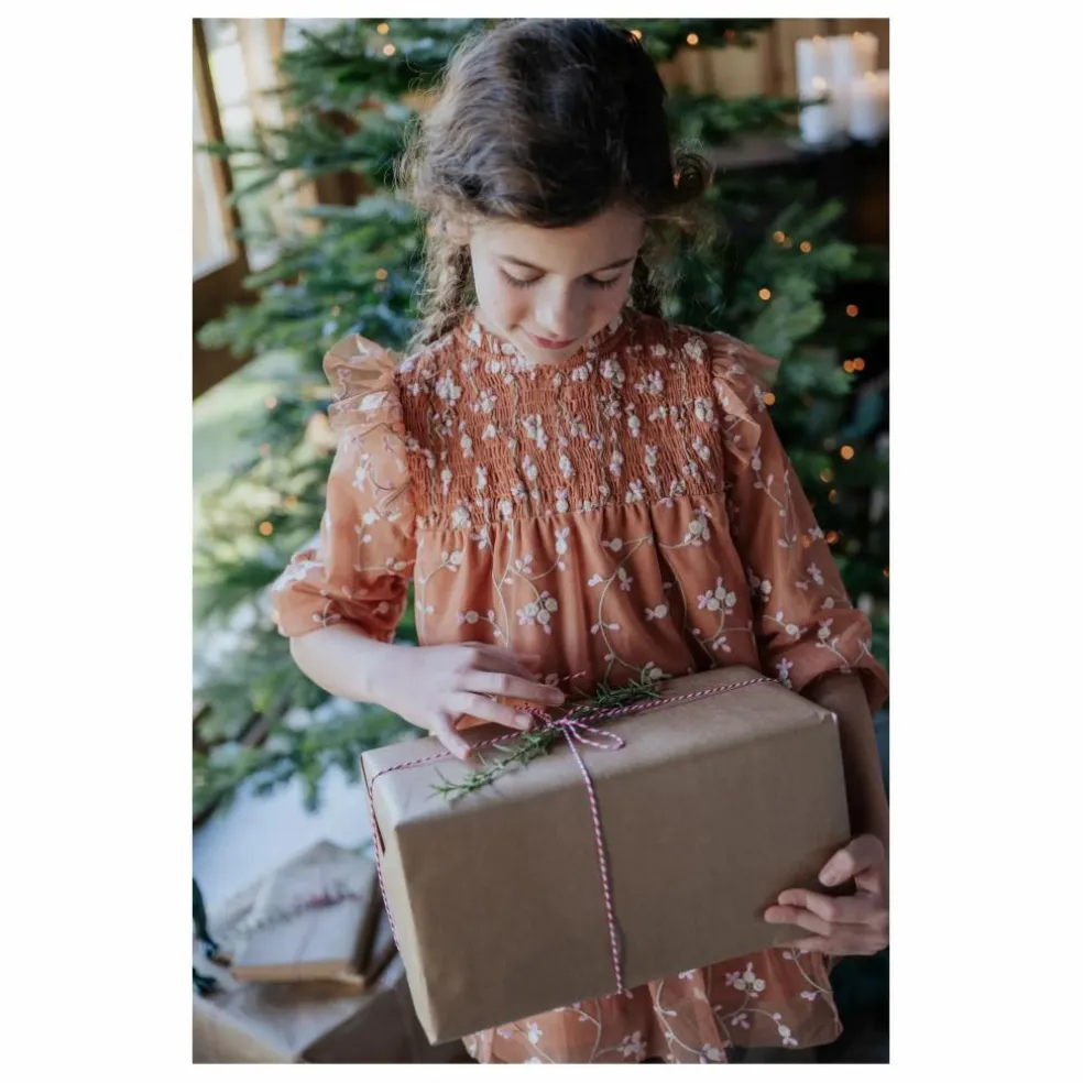 Robe Brumhilda | Marron