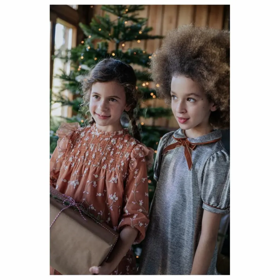 Robe Brumhilda | Marron