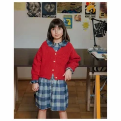 Robe Carreaux Flanelle Tencel | Bleu