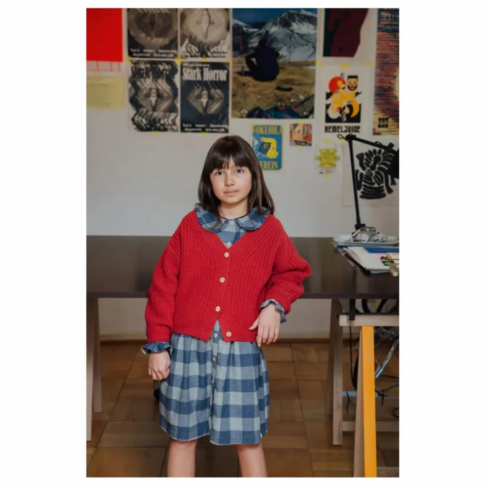 Robe Carreaux Flanelle Tencel | Bleu