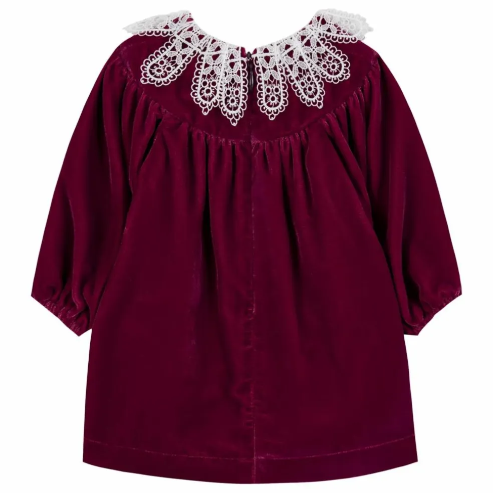 Robe Col Dentelle | Prune