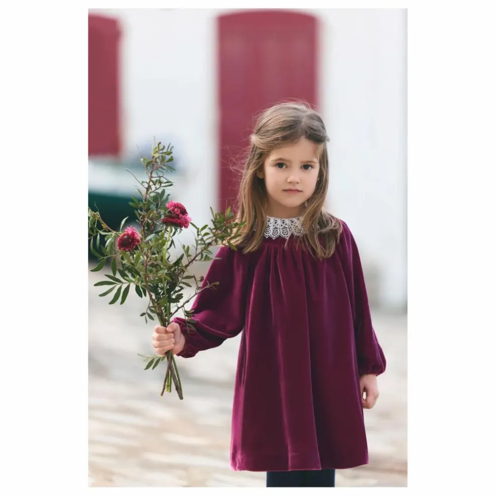 Robe Col Dentelle | Prune