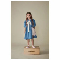Robe Denim | Bleu