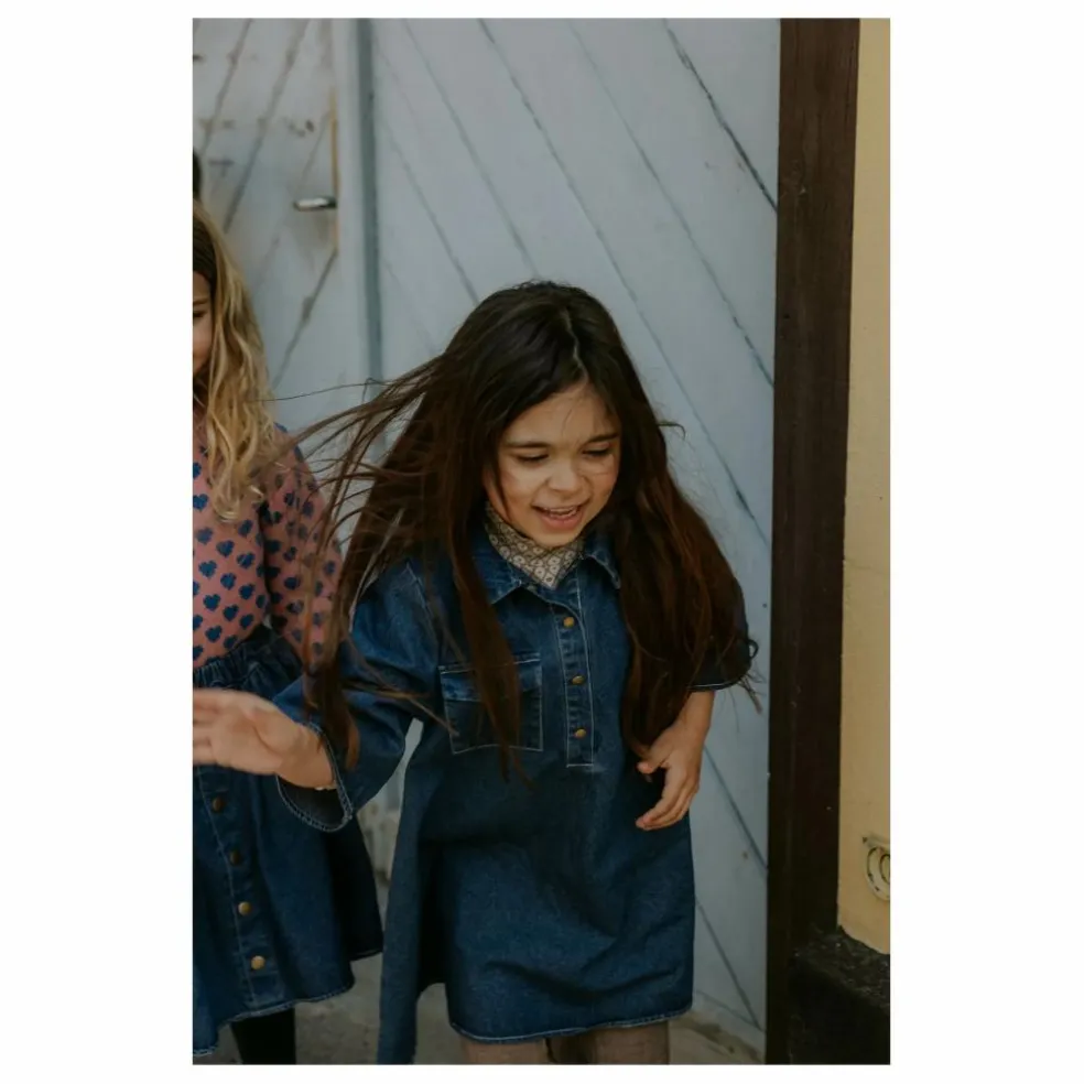 Robe Don Denim | Bleu