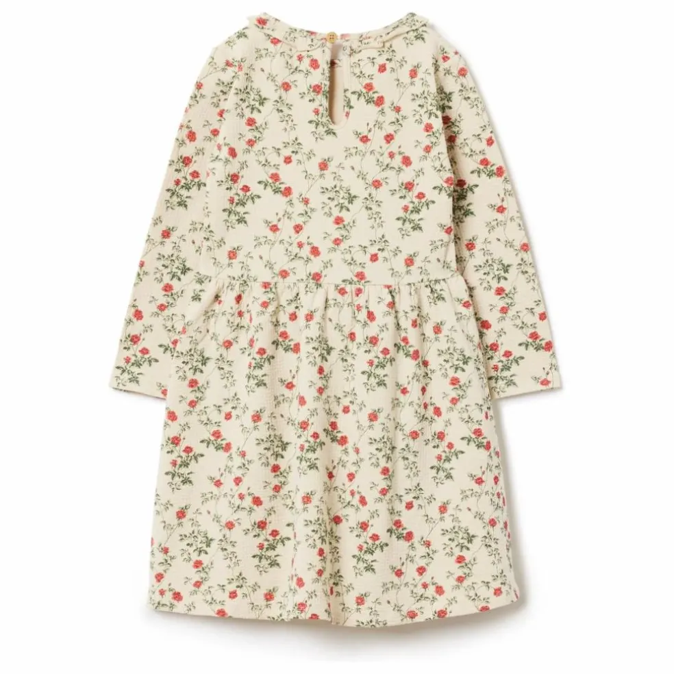 Robe Petit Rose Mini | Ecru