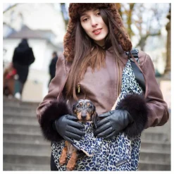 Sac Promenade Cross Body Léopard Chien | Gris