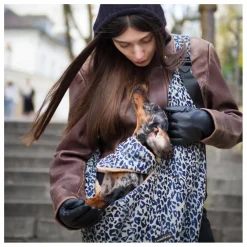 Sac Promenade Cross Body Léopard Chien | Gris
