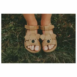 Sandales Dhalo Koala | Marron