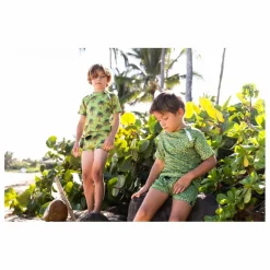 Short de Bain Anti-UV Club Tropicool | Vert