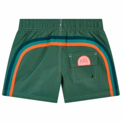 Short de Bain Board Arc | Gris vert