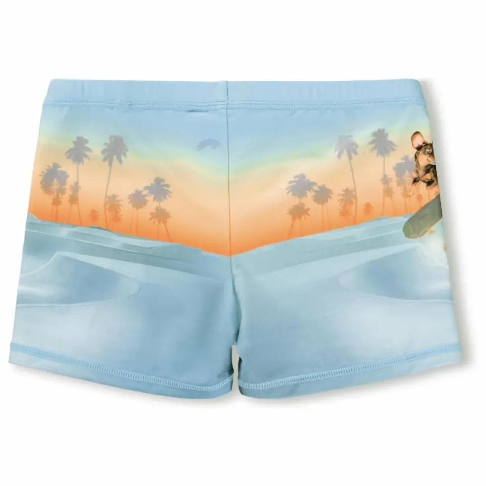 Short de Bain Norton Placed Skate Fibres Recyclées | Bleu pâle