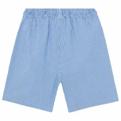 Short de Bain Stripe Rayé | Bleu azur